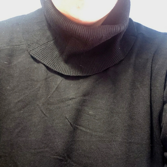 Penningtons 5X Turtleneck Tunic Sweater - Picture 5 of 5